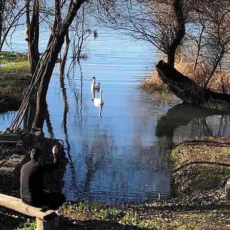 Tatil Evi River House *